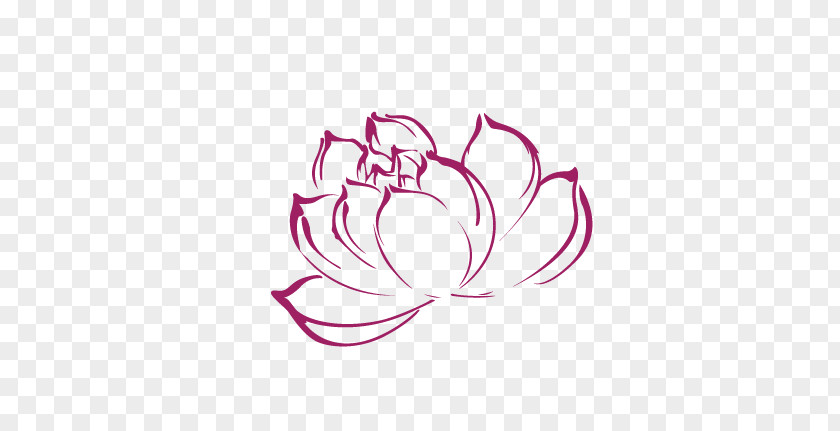 Lotus Creative Nelumbo Nucifera Drawing Line Art PNG