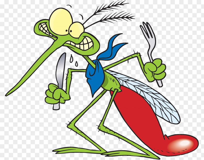 Mosquito Image Clip Art Insect Humour PNG