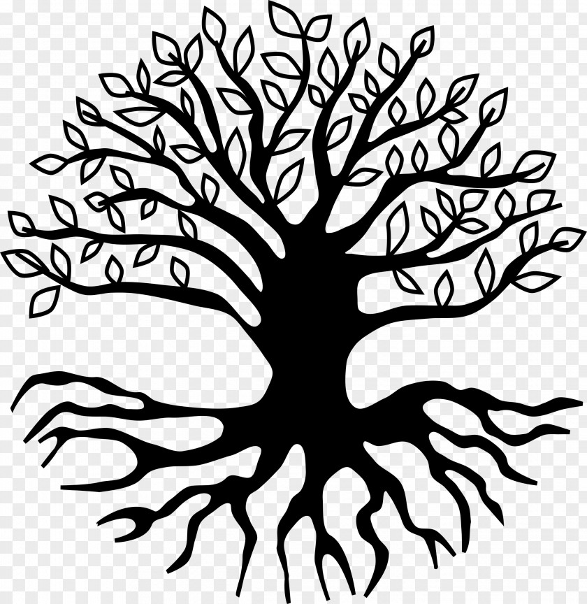 Root Tree Clip Art PNG