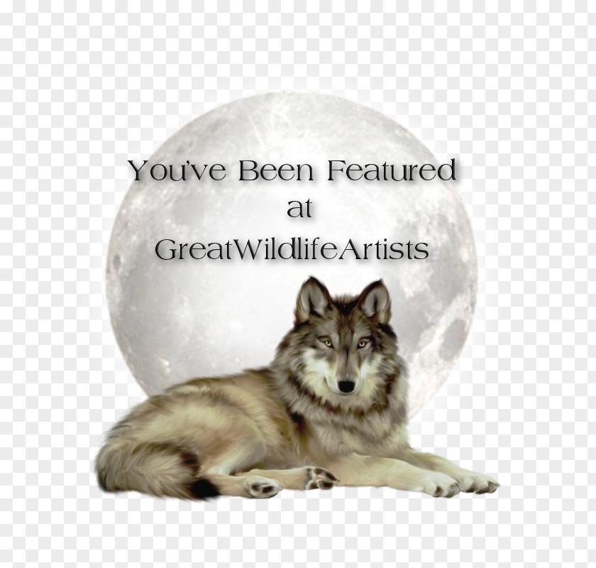 Sunbath Kunming Wolfdog Czechoslovakian Arctic Wolf Clip Art PNG