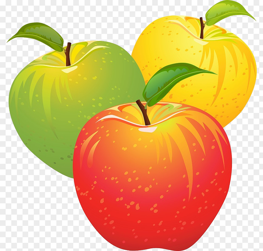 Apple Candy Fruit Salad Clip Art PNG