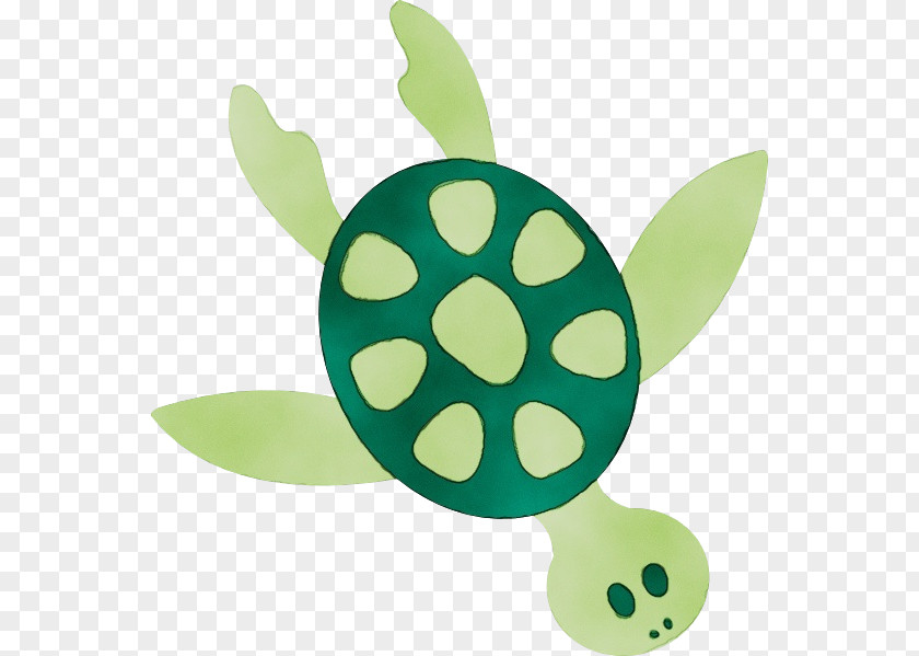 Baby Toys Plant PNG