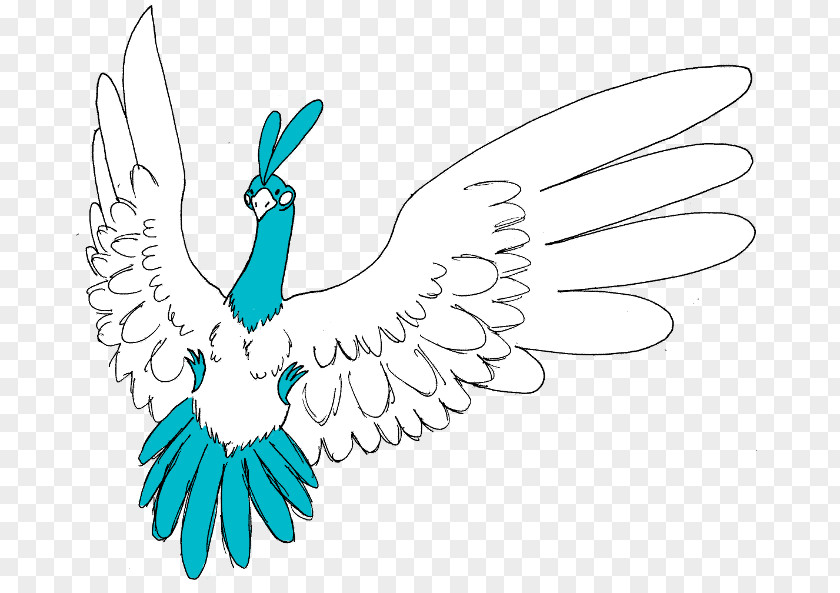 Feather Chicken Line Art Clip PNG