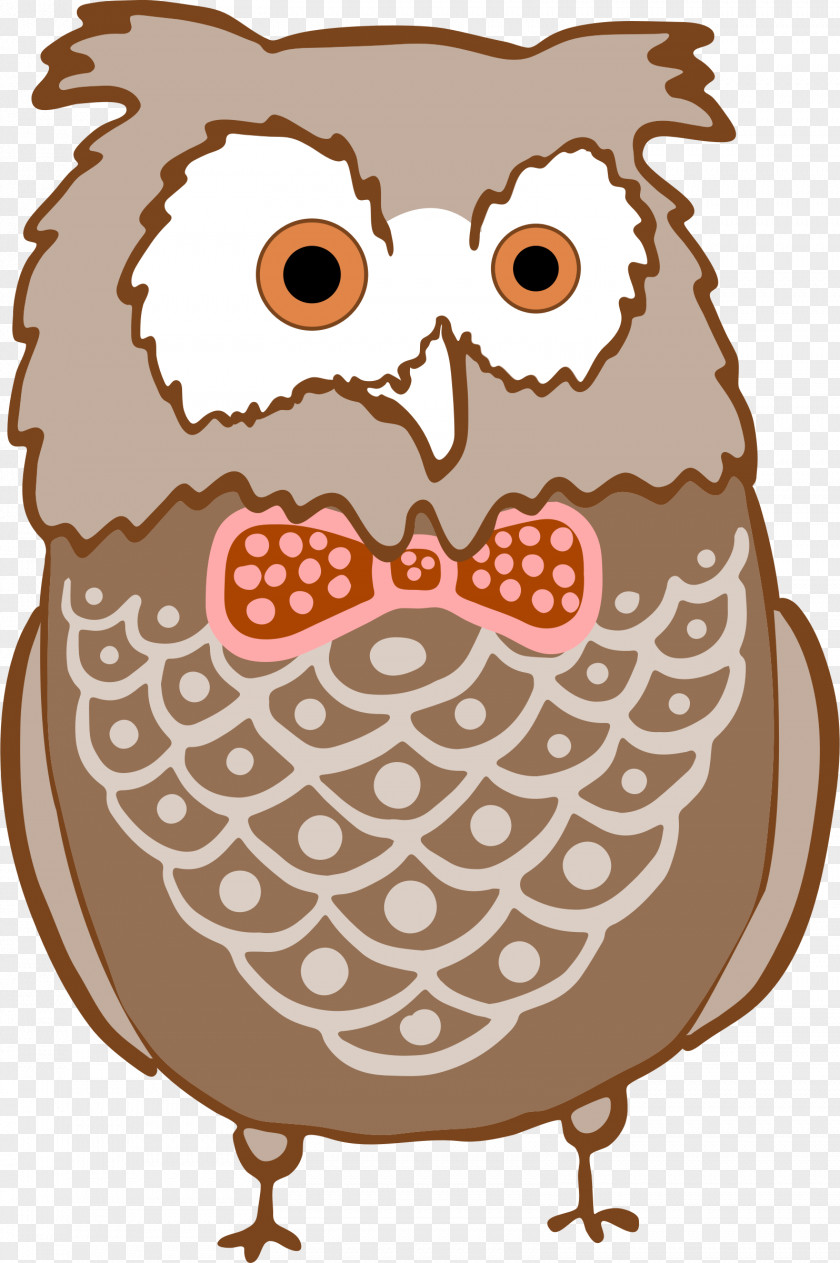 Get Well Owl Clip Art Bird Image Barred Cartoon PNG