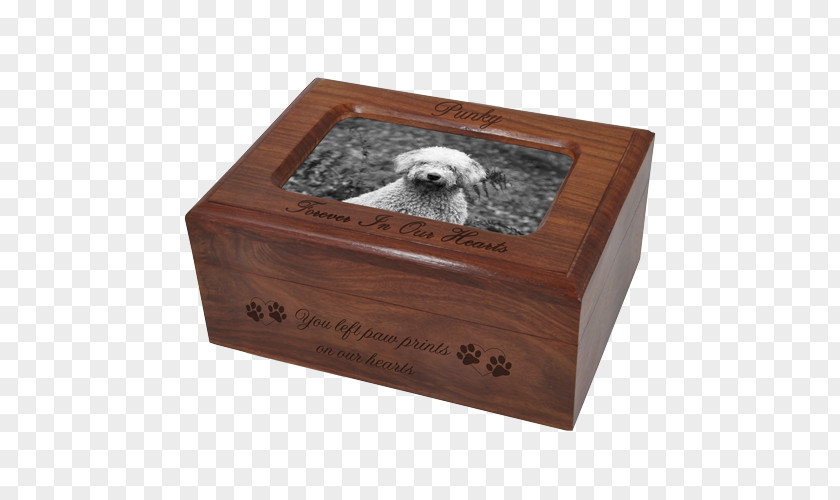 Jewellery Urn English Cocker Spaniel Gold-filled Jewelry PNG