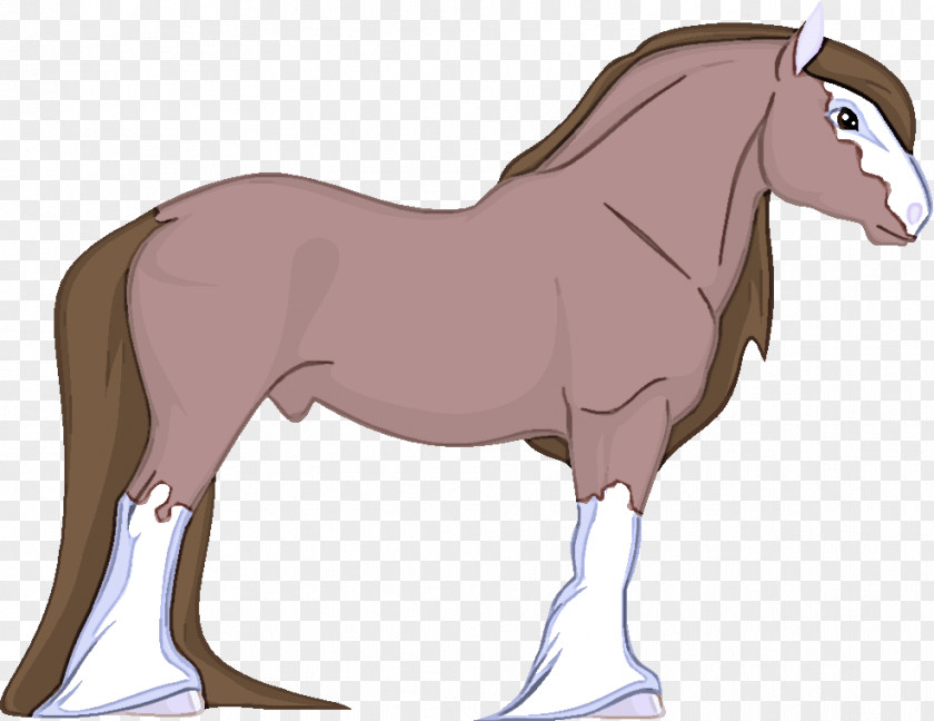 Liver Stallion Horse Shetland Pony Cartoon Mane Mare PNG