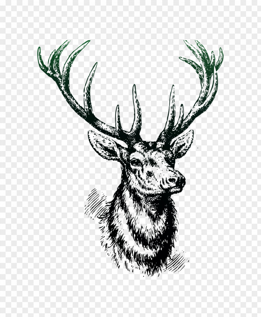 Red Deer Moose Elk Valentine's Day PNG