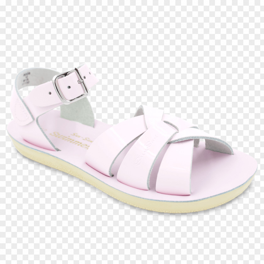 Sandal Shoe PNG