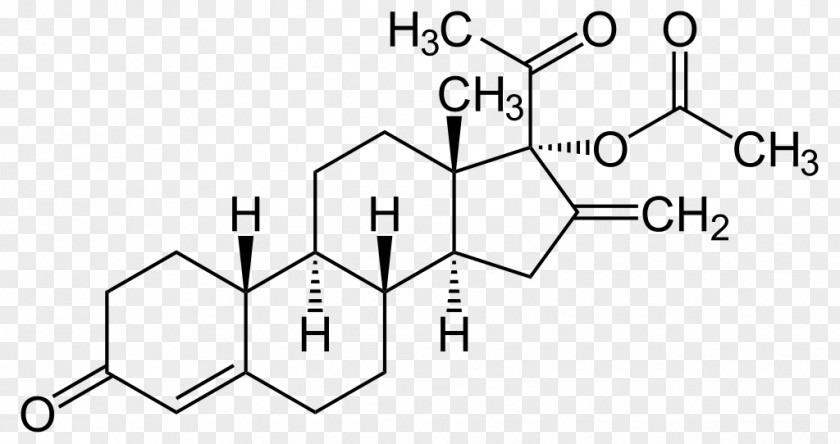 Sperma The Great Testosterone Myth Cortisone Cortisol Progesterone PNG