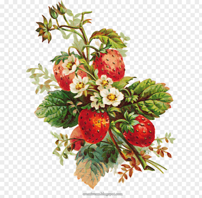 Strawberry Floral Design Pie Clip Art PNG