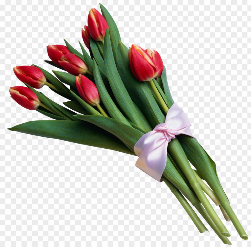 Bouquet Of Red Tulips Transparent Picture Tulip Flower Clip Art PNG