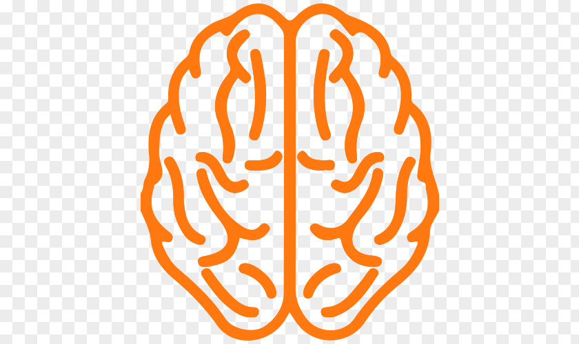 Brain About Your Human PNG