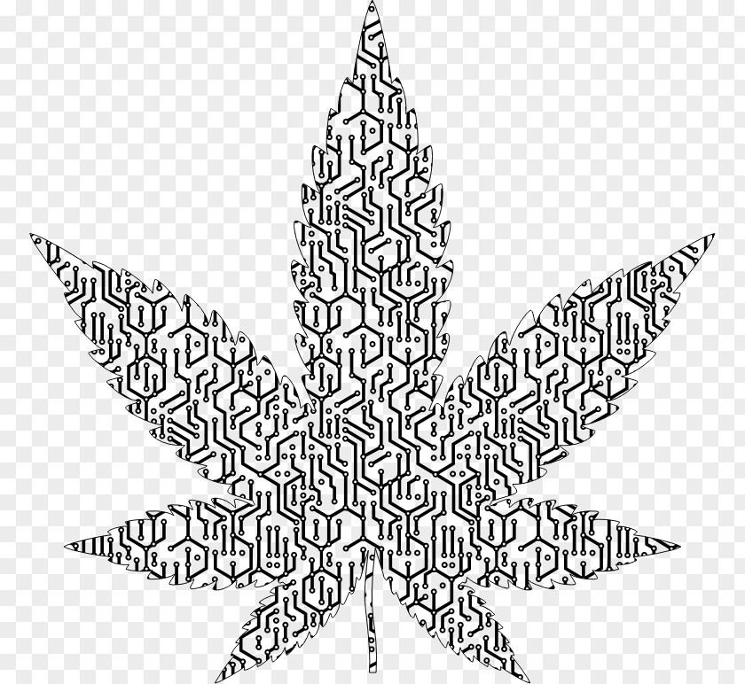 Cannabis Medical Sativa Clip Art PNG