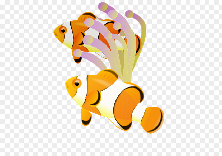 Clownfish Cliparts Nemo Ocellaris Clip Art PNG