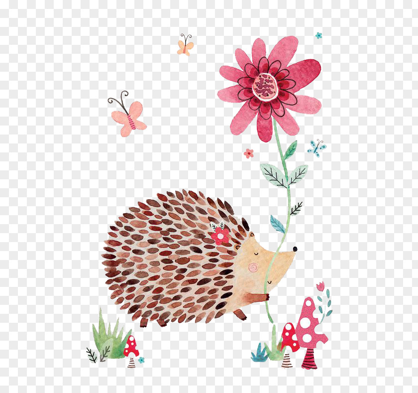 Hedgehog With Flowers Greeting Card Drawing Idea Illustration PNG
