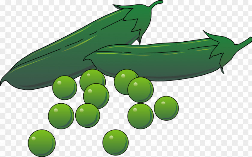 Vegetable Pea Pod Clip Art PNG