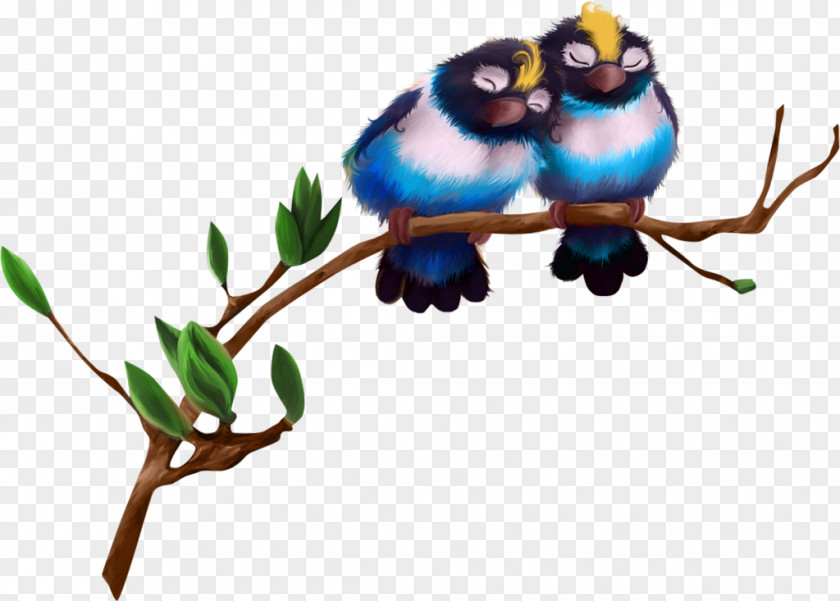 Bird Clip Art PNG