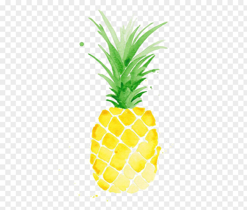 Hand-painted Pineapple Watercolor Painting Drawing Printmaking PNG
