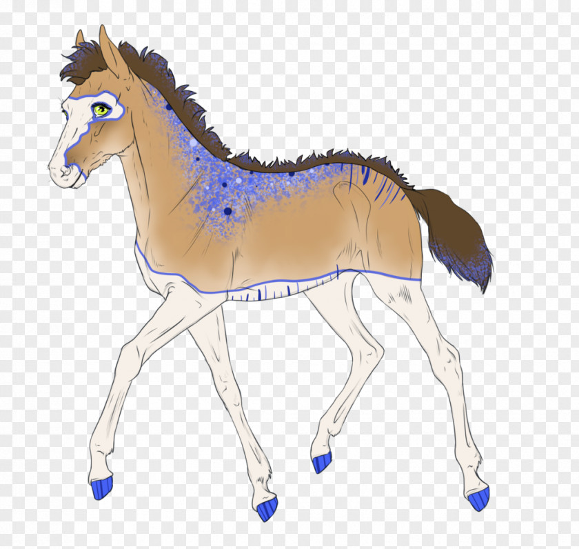 Mustang Foal Colt Stallion Mare PNG