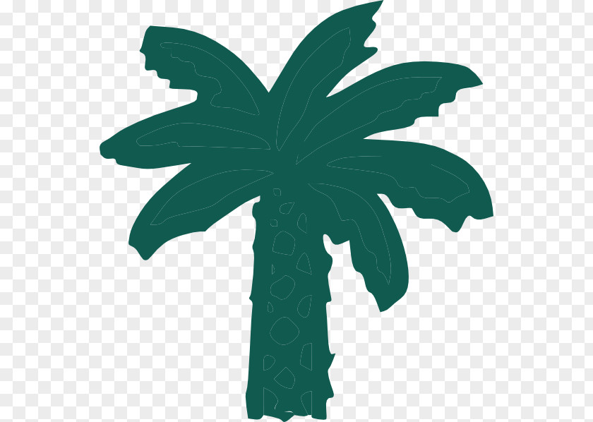 Palm Border Arecaceae Cartoon Clip Art PNG