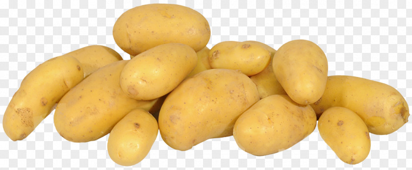 Patatas Fingerling Potato Solanine Food Tuber PNG