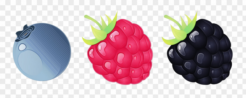 Plant Frutti Di Bosco Berry Blackberry Fruit Raspberry Rubus PNG