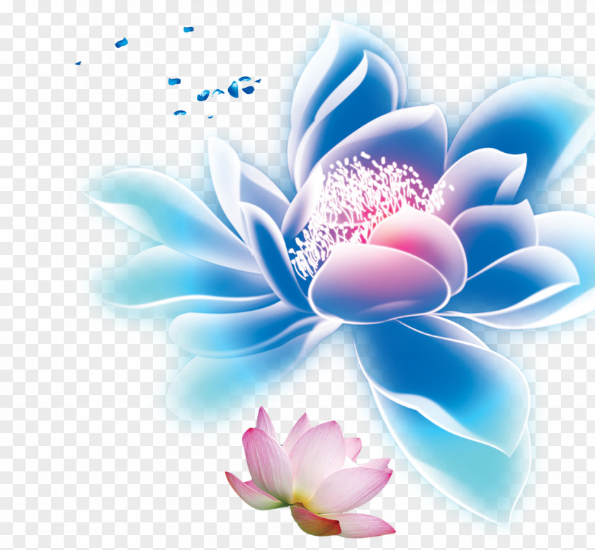 Transparent Lotus Petal Transparency And Translucency Download PNG