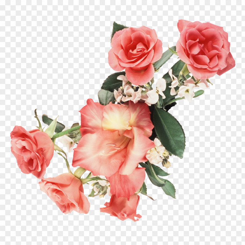 Bouquet Flower Animation Desktop Wallpaper PNG