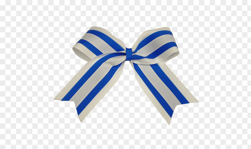 Electric Blue Ribbon Bow PNG