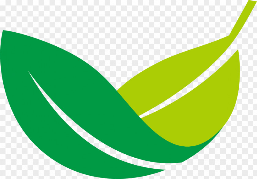 Green Leaf Pattern Design Drawing PNG