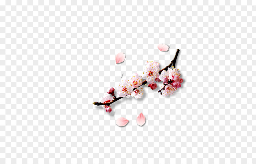 Pink Peach Lucky Element Petal Blossom Computer File PNG