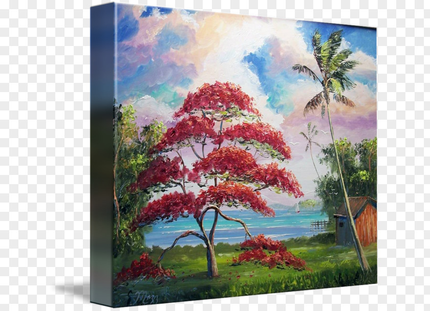 Royal Poinciana Oil Painting Reproduction Fine Art Watercolor PNG