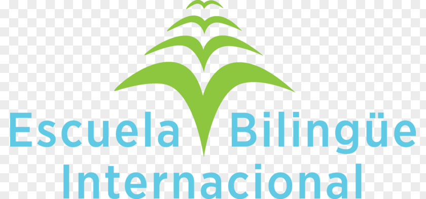 School Escuela Bilingüe Internacional Education International Baccalaureate Berkeley PNG