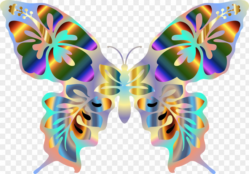 Butterflies Butterfly Clip Art PNG