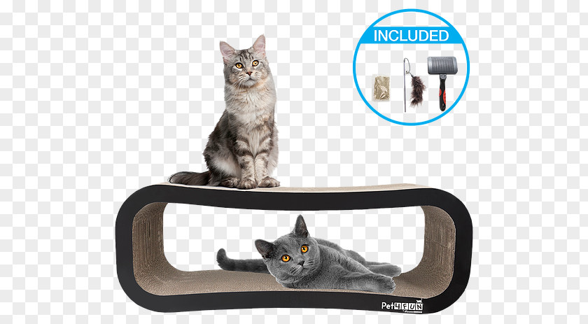 Cardboard Cat Scratcher Domestic Short-haired & Dog Flaps Pet PNG