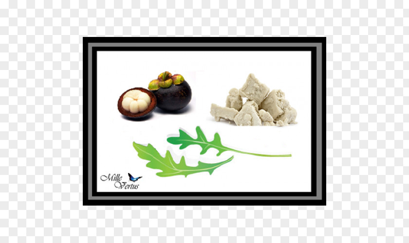 Chamomile Organic Food Liquorice Herb PNG