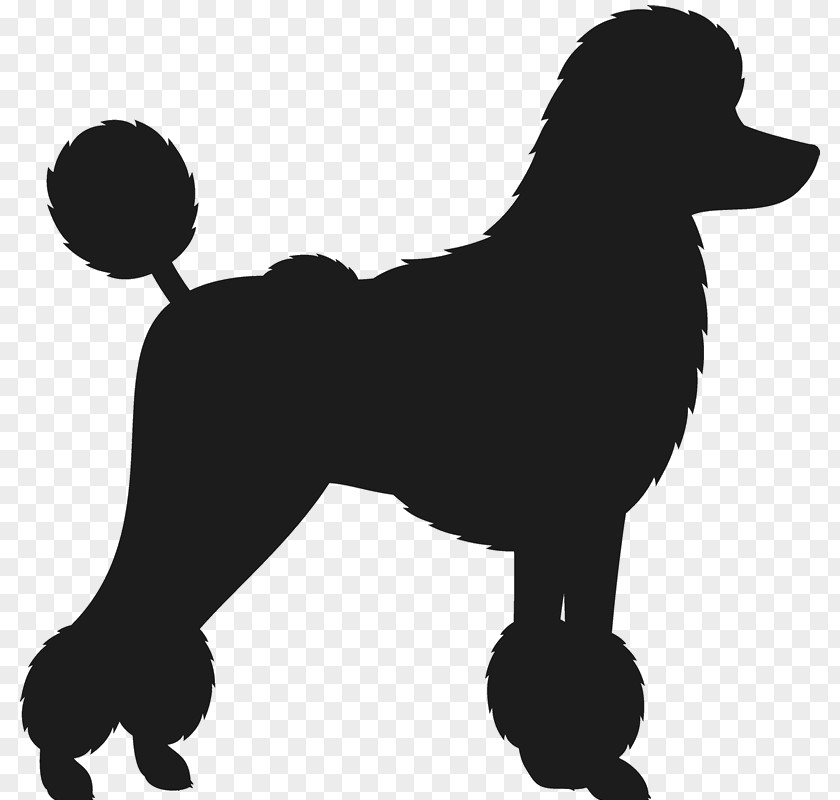 Puppy Dog Breed Toy Poodle Standard Dachshund PNG