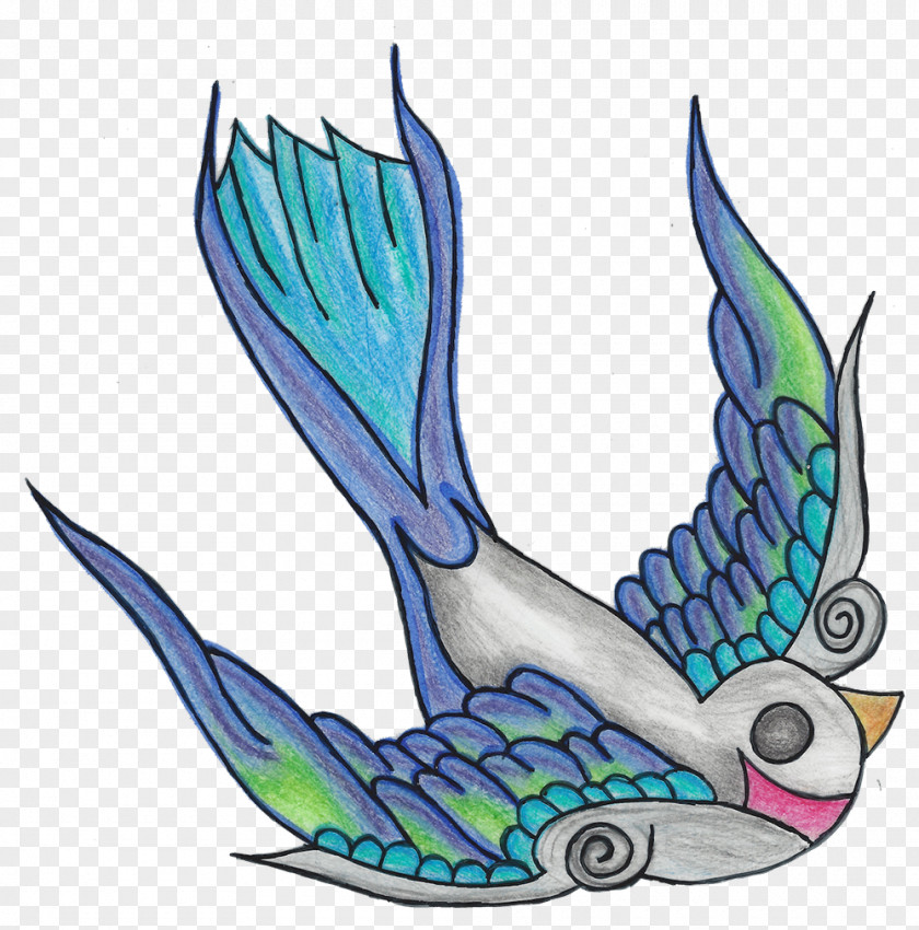 Spits Bird Animal Feather Fish PNG