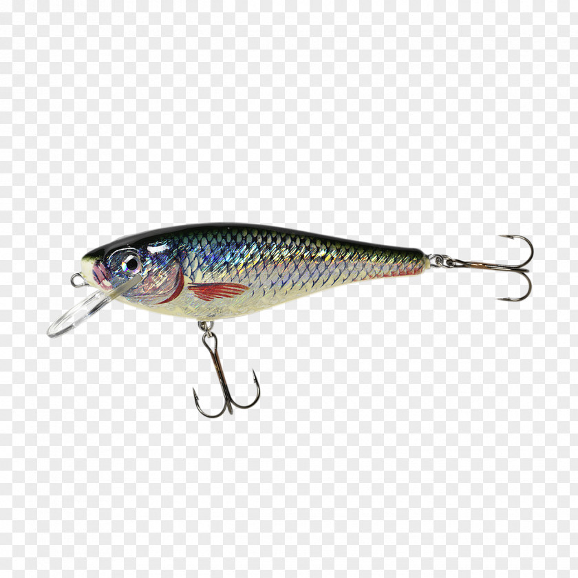 Spoon Lure Perch Trout Fish AC Power Plugs And Sockets PNG