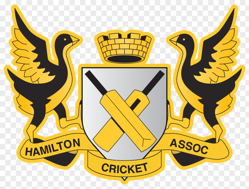 Cricket New Zealand National Team Northern Districts Logo Hamilton PNG