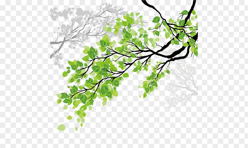 Leaves Window Sticker Wall Decal Branch PNG