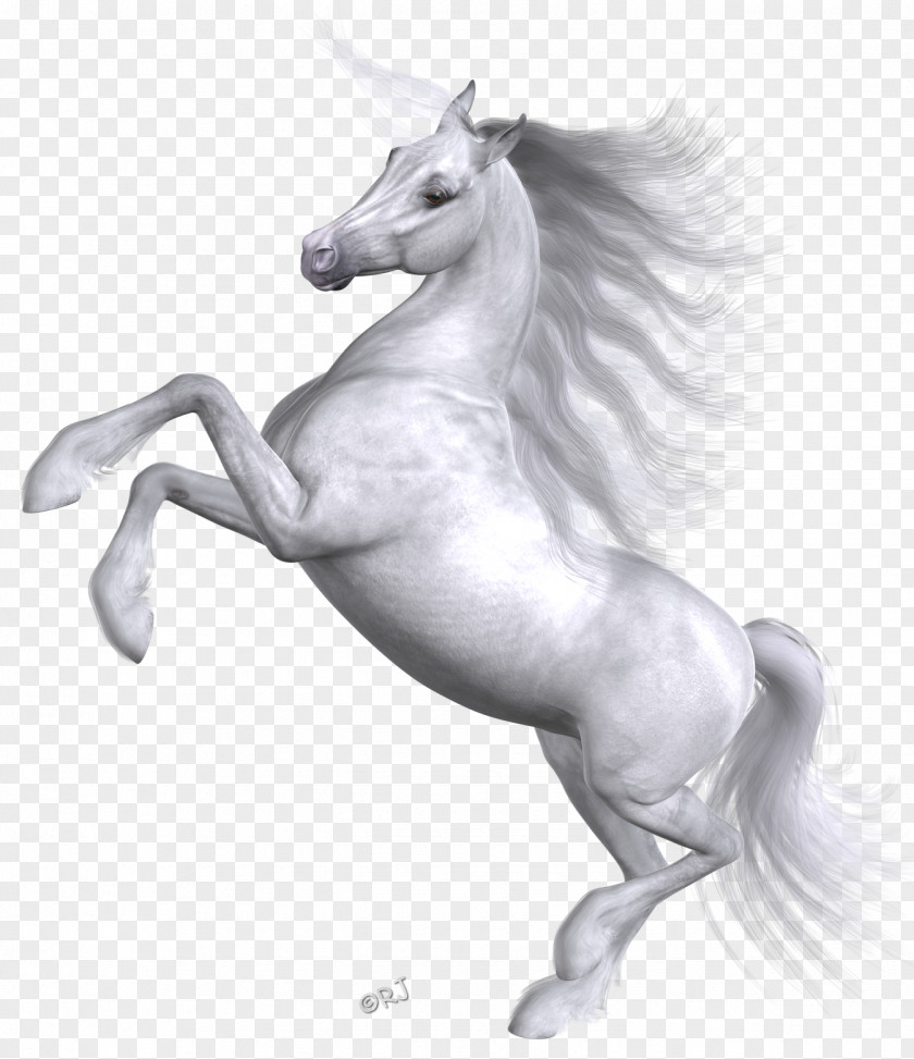 Mustang Stallion Unicorn Halter Mythology PNG