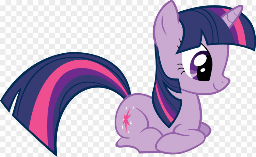 Twilight Sparkle Pinkie Pie Rarity Pony Rainbow Dash PNG