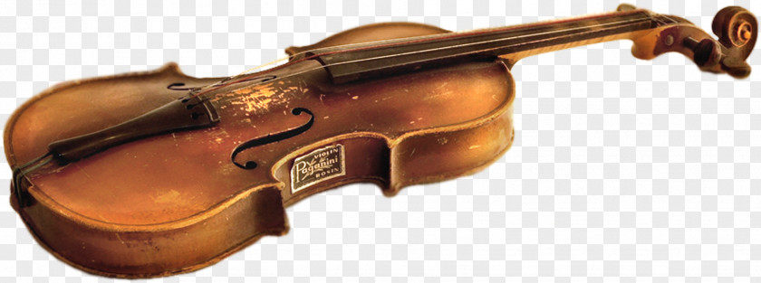 Violin Family Musical Instruments String Viola PNG