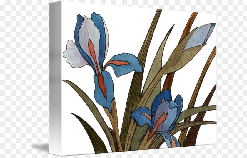 Watercolor Iris Floral Design Imagekind Art Poster PNG