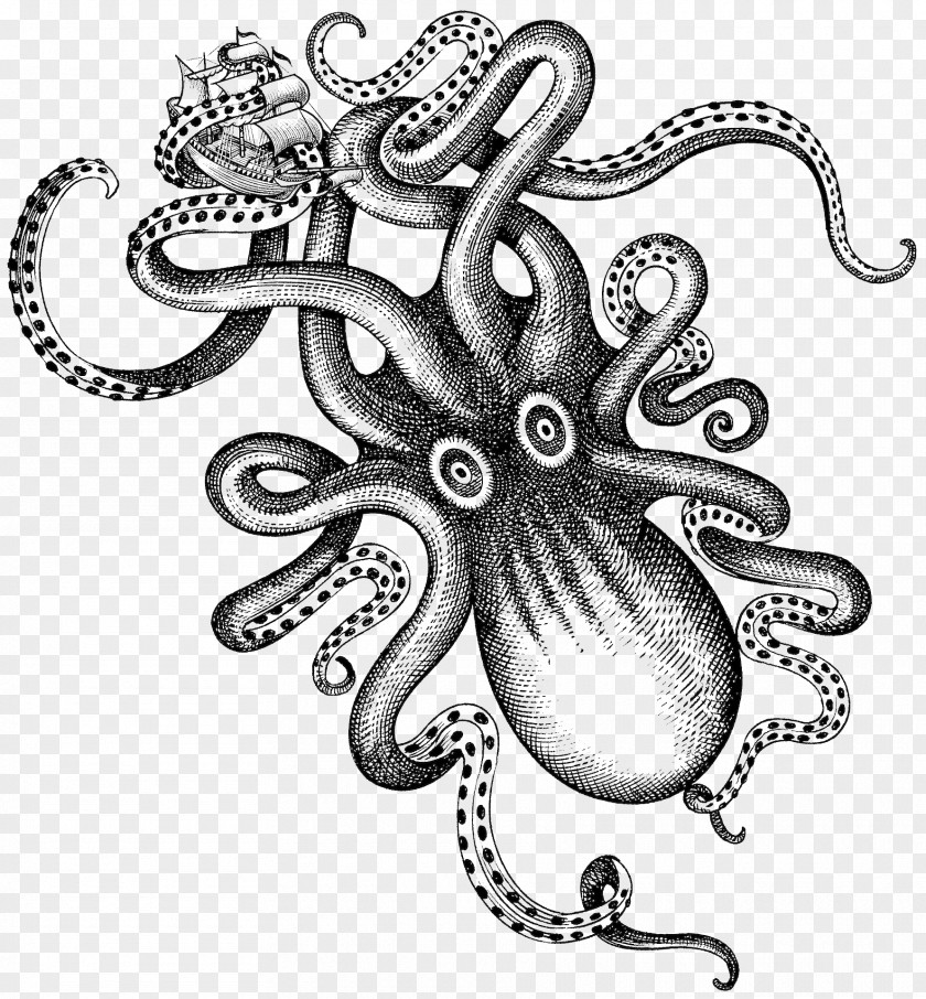 Watercolor Octopus Kraken Rum Liquor PNG