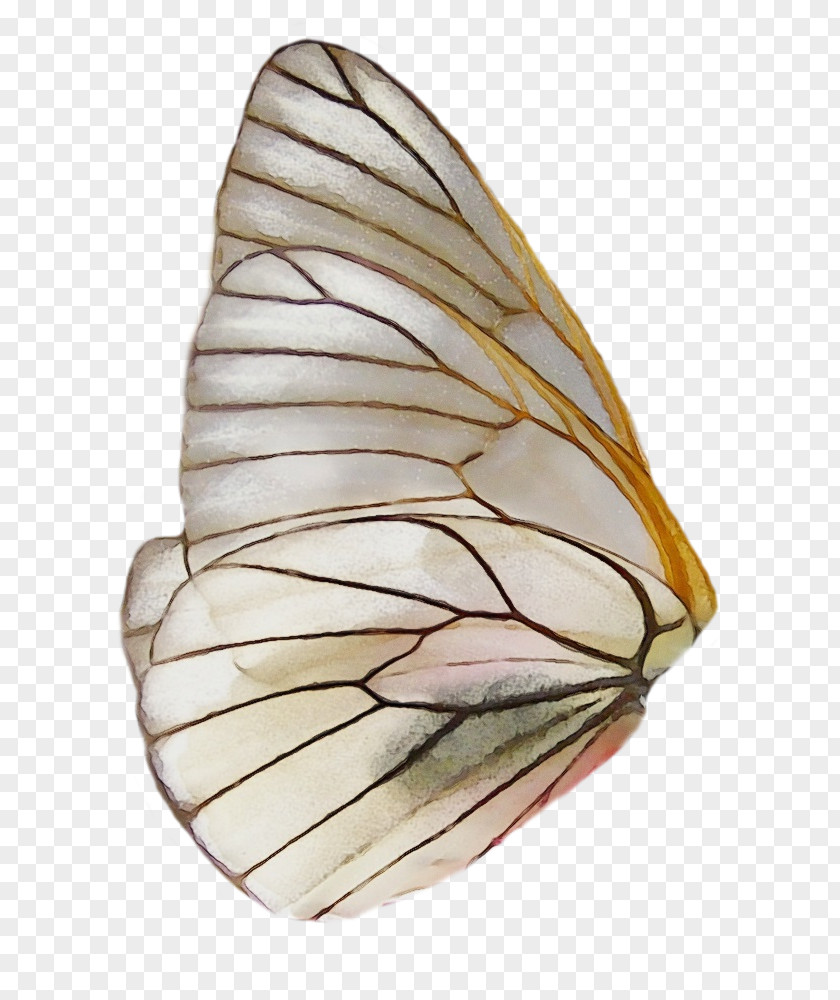 Beige Sconce Watercolor Butterfly Background PNG