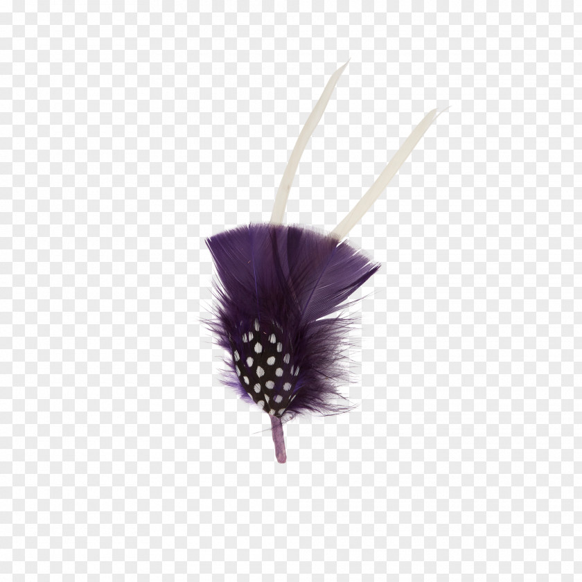 Boho Arrow Feather Goorin Bros. Purple Violet Lilac PNG