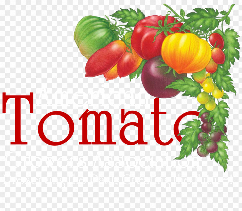 Colorful Strips Tomato Soup Brandywine Italian Pie Organic Food Heirloom PNG