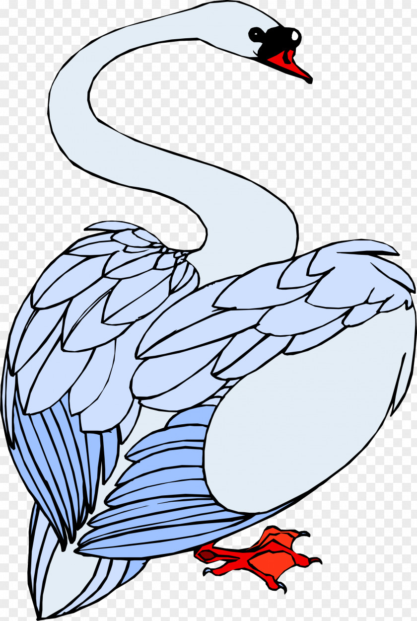 Coloring Book Wildlife Bird Line Drawing PNG